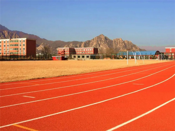 果洛藏族自治州塑胶地坪学校塑胶跑道 - 厂家